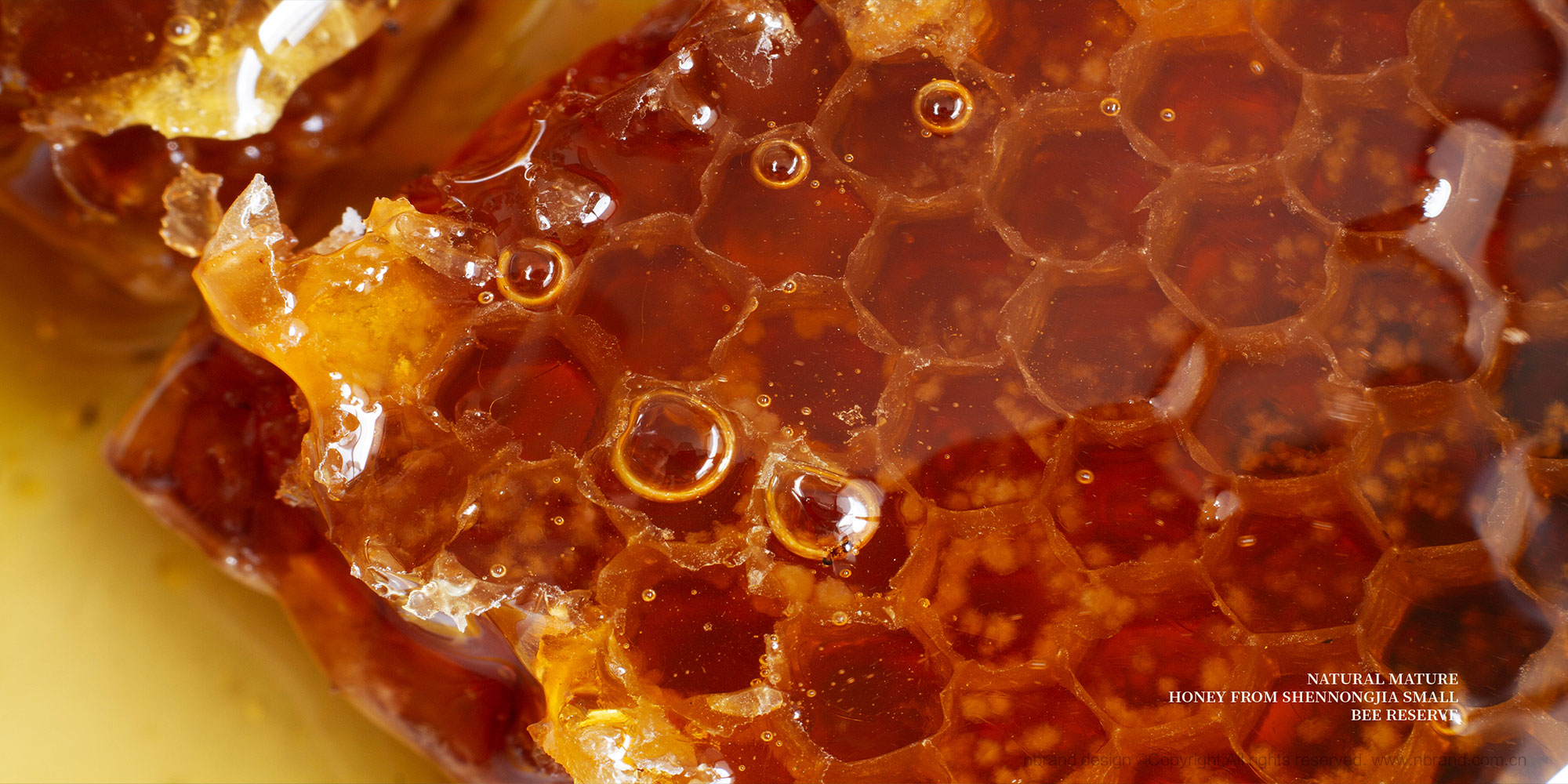 �샞(y��u)������������ʳƷ���b�O(sh��)Ӌ,�Y���O(sh��)Ӌ,�߶�Ʒ���O(sh��)Ӌ